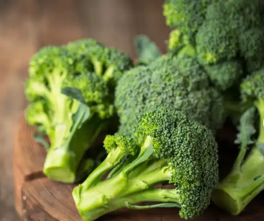 Can Broccoli Extract Powder Help Prevent Cancer?
